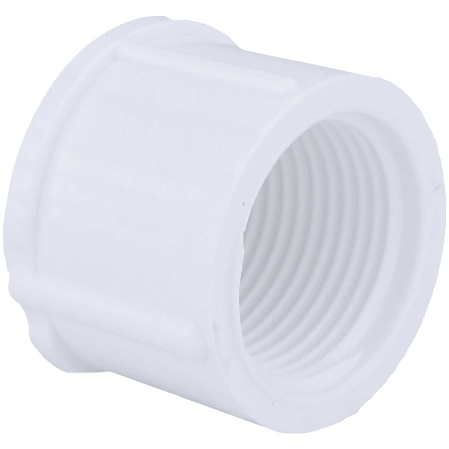 Charlotte Pipe 3/4 In. FIP Schedule 40 Threaded PVC Cap Image 1