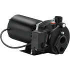 Wayne 1/2HP Cast Iron Convertible Water Well Jet Pump Image 1
