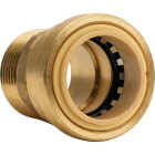 QuickFitting 1 In. Push-to-Connect x 1 In. MNPT Brass Straight Male Adapter Image 1