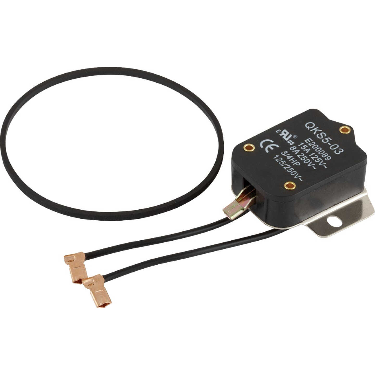 Wayne Replacement Pump Switch Image 1