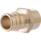 SharkBite PEX-A Brass 3/4 In. x 3/4 In. MNPT Adapter Image 1