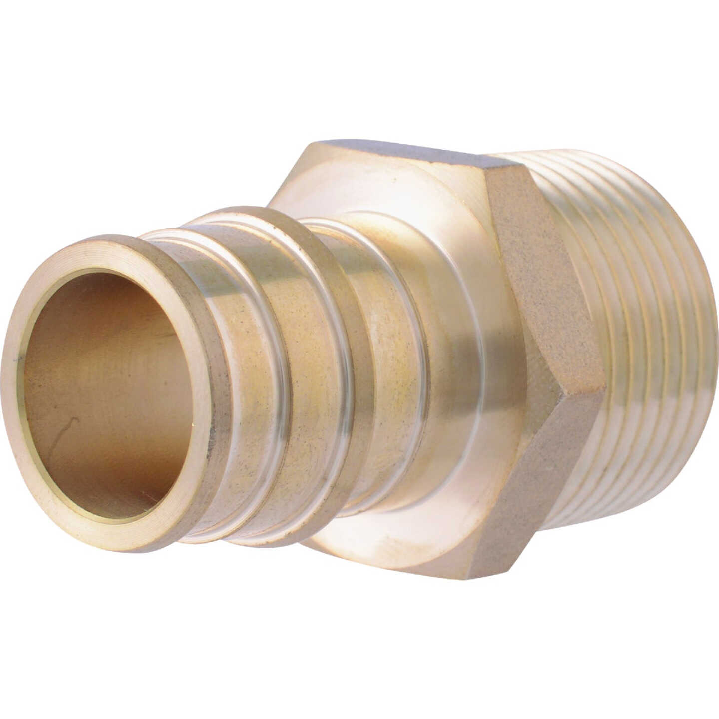 SharkBite PEX-A Brass 3/4 In. x 3/4 In. MNPT Adapter Image 1