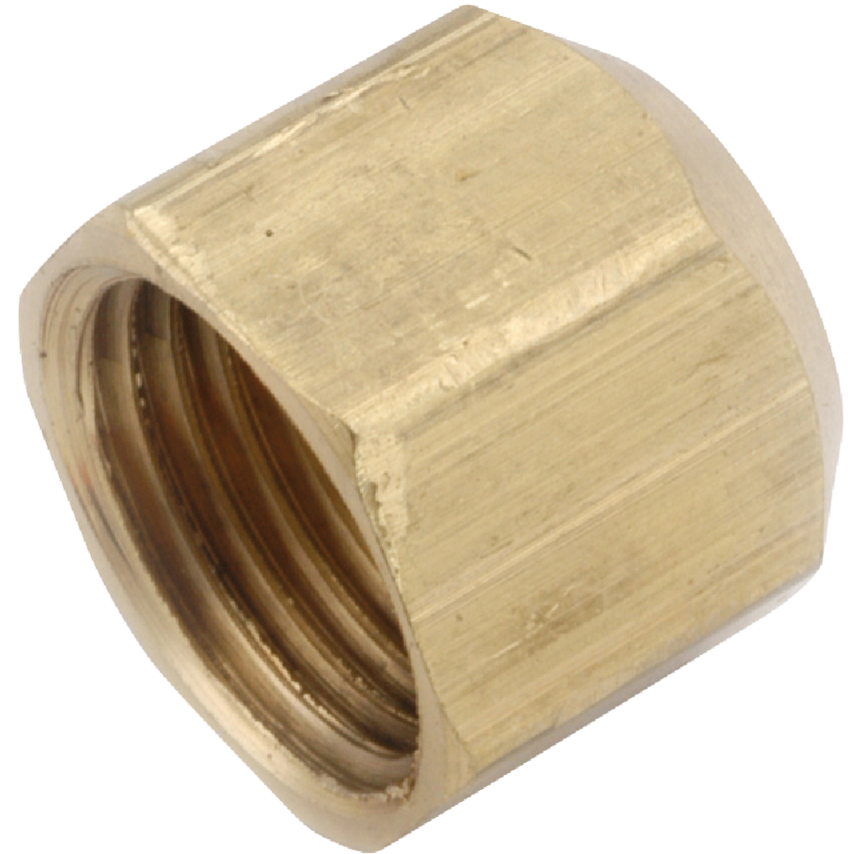Anderson Metals 1/2 In. Brass Flare Cap Image 1