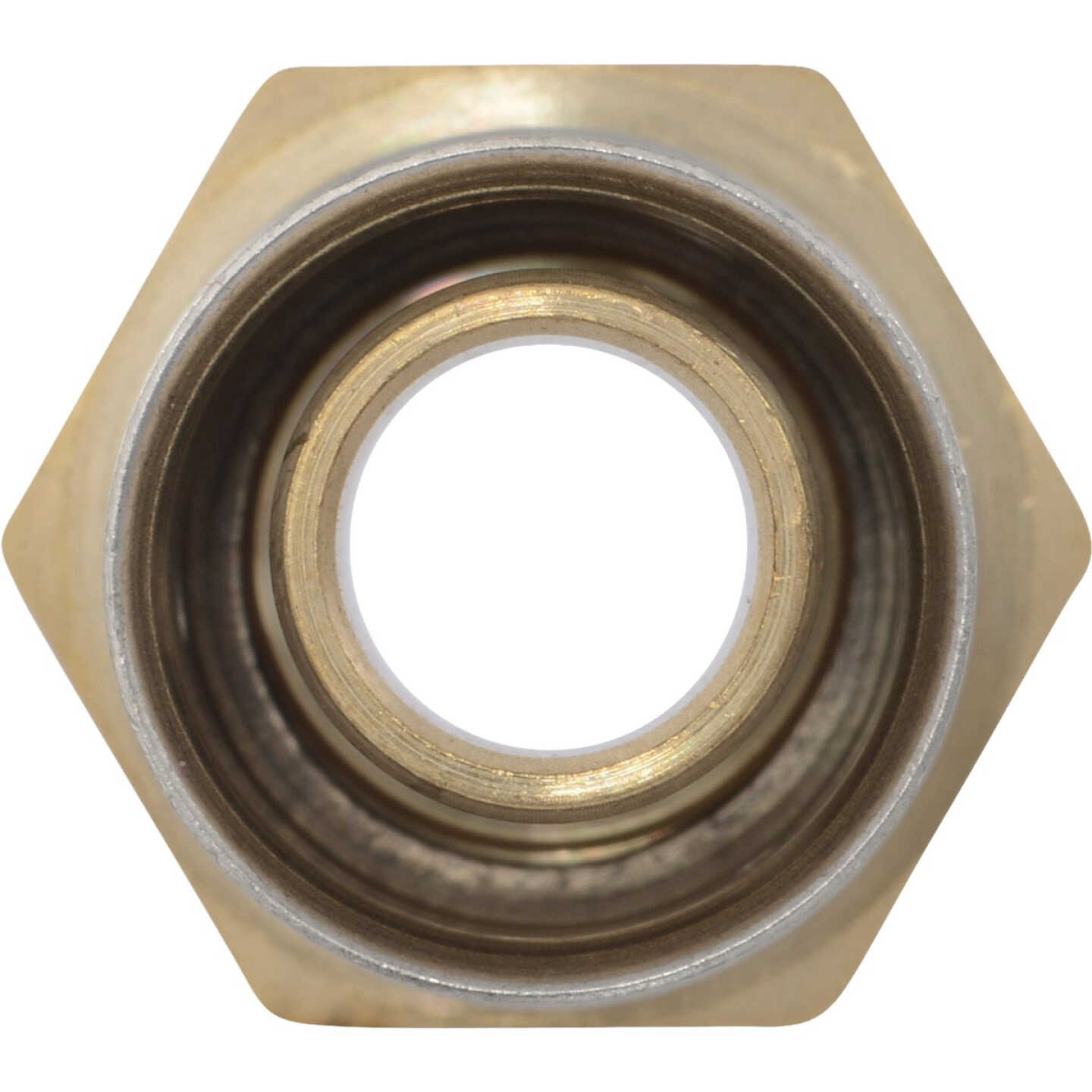 SharkBite 3/4 In. x 3/4 In. FNPT PEX Press Brass Adapter Image 3