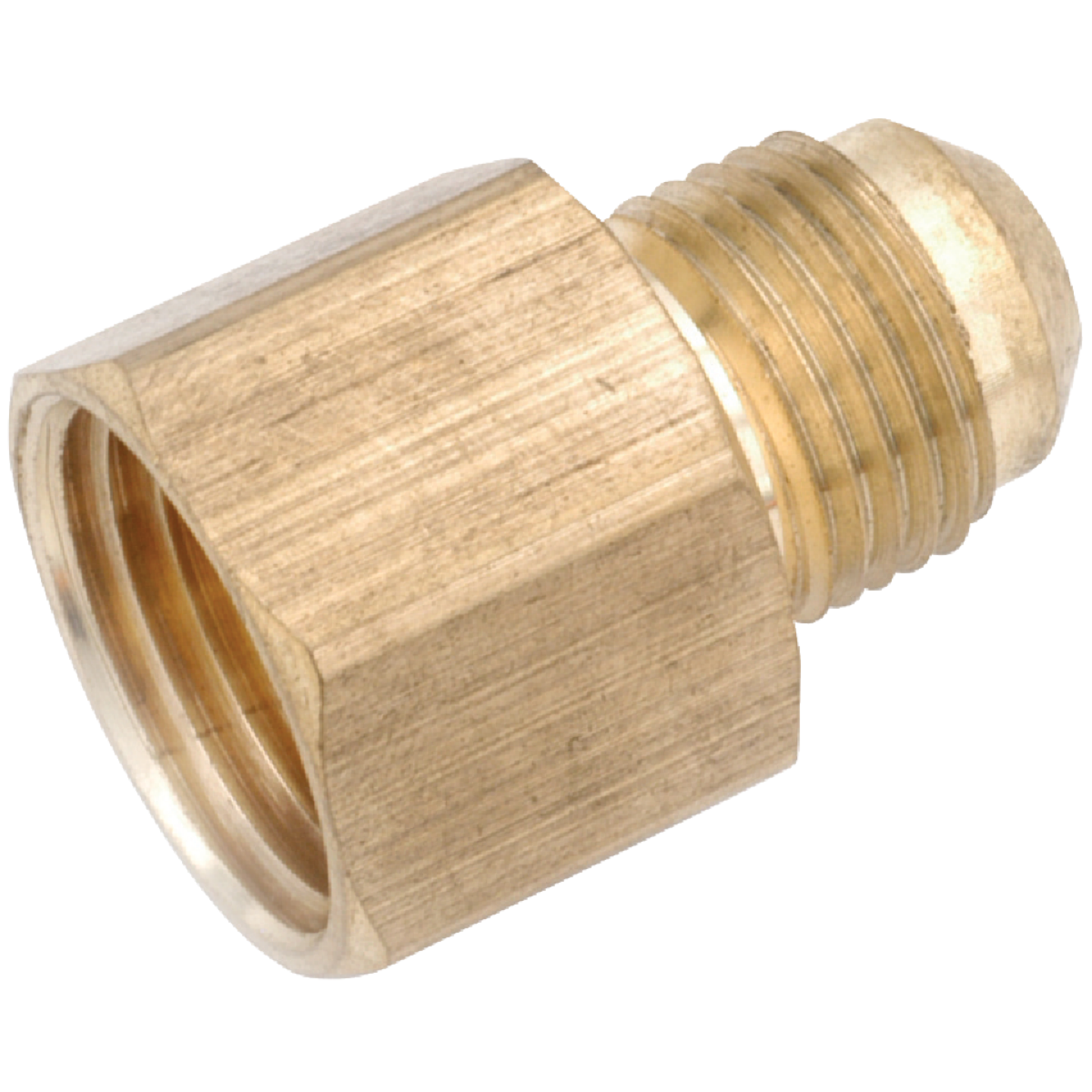 Anderson Metals 1/4 In. x 1/4 In. Brass Low Lead Female Flare Connector Image 1
