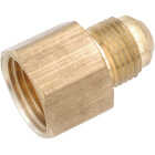 Anderson Metals 5/8 In. x 3/4 In. Brass Low Lead Female Flare Connector Image 1