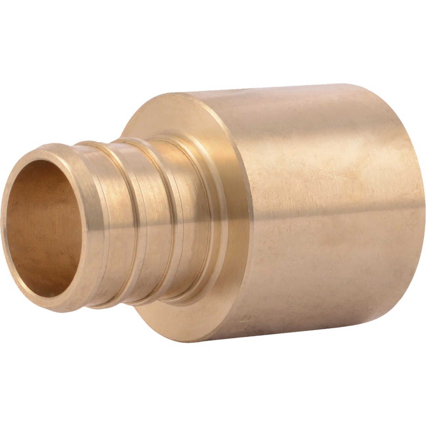 SharkBite 3/4 In. Female Sweat x 3/4 In. CF Brass PEX Adapter (10-Pack) Image 1