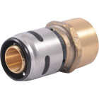 SharkBite EvoPex 3/4 In. x 3/4 In. FPT Push-to-Connect Plastic Connector Image 1