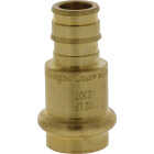 Nibco 1/2 In. Press x F1960 LF BR PEX Transition Fitting Image 1