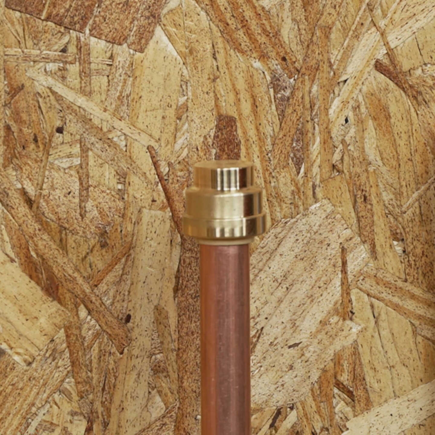 QuickFitting 1/2 In. Push-to-Connect Brass Push Cap (End Stop) Image 2