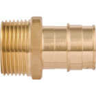 SharkBite PEX-A Brass 1 In. x 1 In. MNPT Adapter Image 2