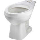 Mansfield Alto Smartheight White Elongated ADA 16-7/8 In. Toilet Bowl Image 2