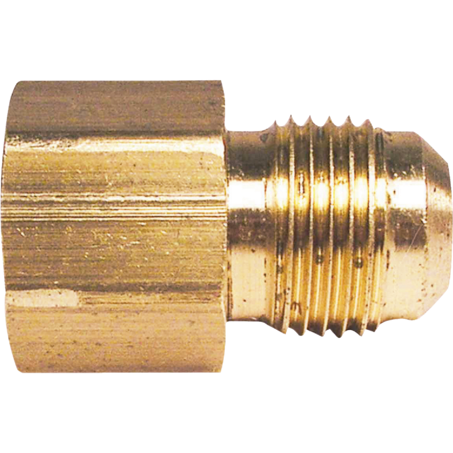 Do it 5/8 In. x 1/2 In. Brass Female Flare Adapter Image 1