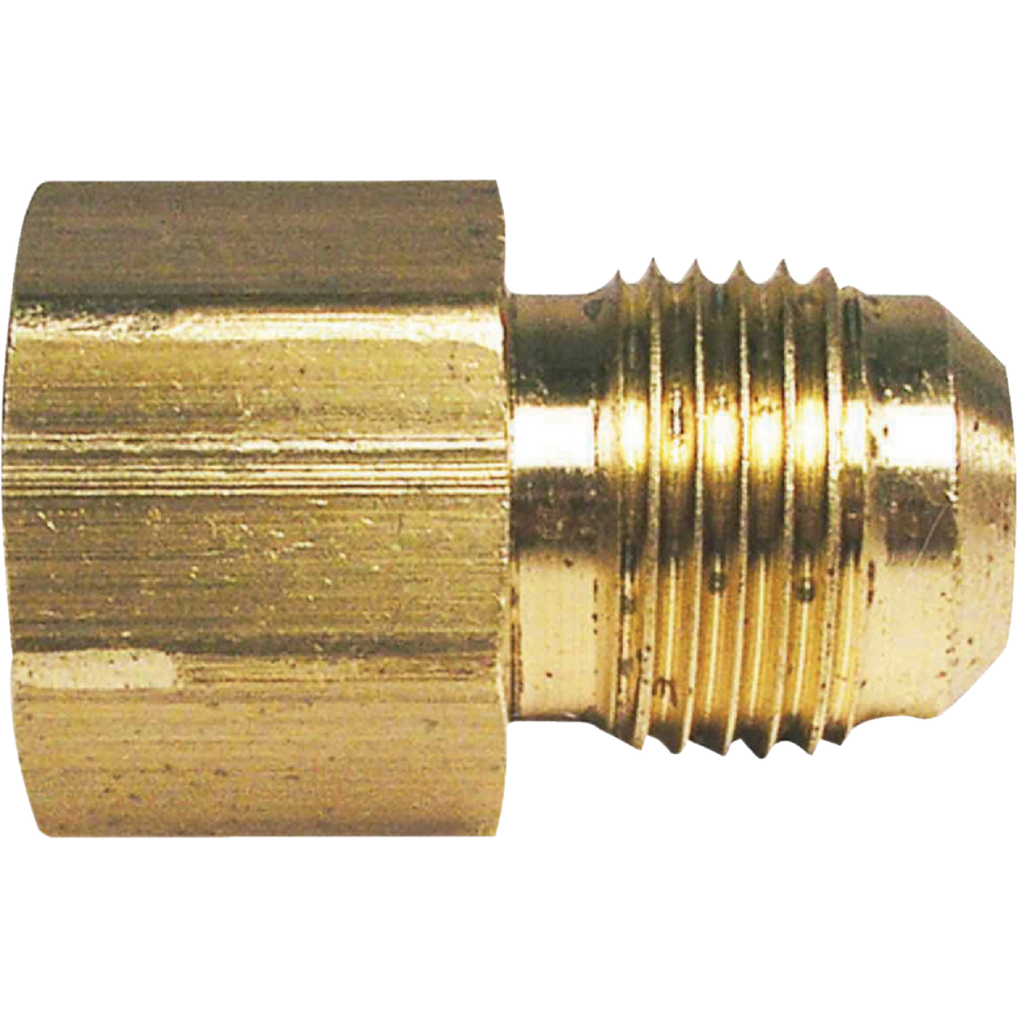 Do it 5/8 In. x 3/4 In. Brass Female Flare Adapter Image 1
