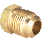 Do it 1/2 In. Brass Low Lead Flare Plug Image 1