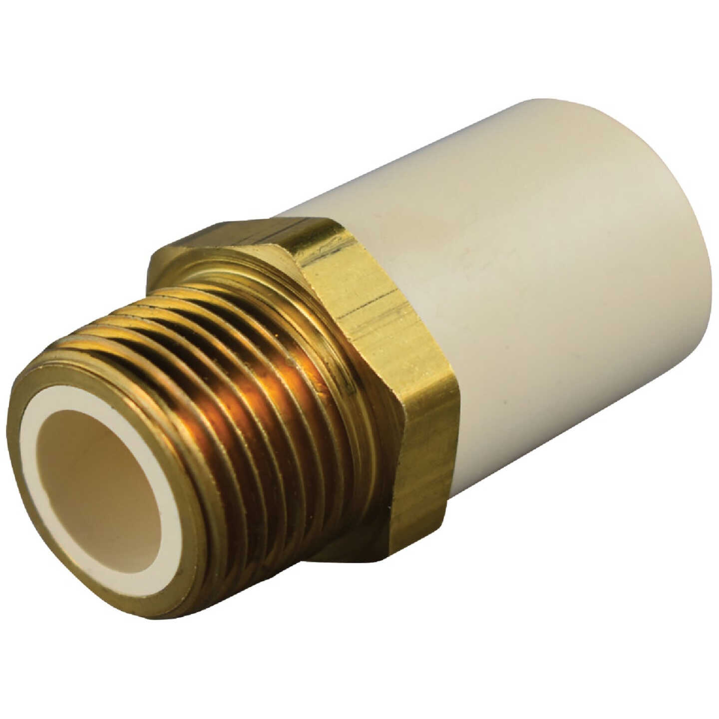 Charlotte Pipe 3/4 In. Slip x Brass MIP CPVC Transition Adapter Image 1