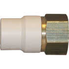 Charlotte Pipe 1/2 In. Slip x Brass FIP CPVC Transition Adapter Image 1