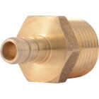 SharkBite 3/8 In. CF x 1/2 In. MPT Brass PEX Adapter Image 1