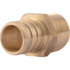 SharkBite 3/4 In. CF x 1/2 In. MPT Brass PEX Adapter Image 1