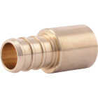 SharkBite 1/2 In. Male Sweat x 1/2 In. CF Brass PEX Adapter Image 1