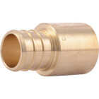 SharkBite 3/4 In. Male Sweat x 3/4 In. CF Brass PEX Adapter Image 1