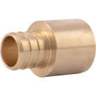 SharkBite 3/4 In. Female Sweat x 3/4 In. CF Brass PEX Adapter Image 1