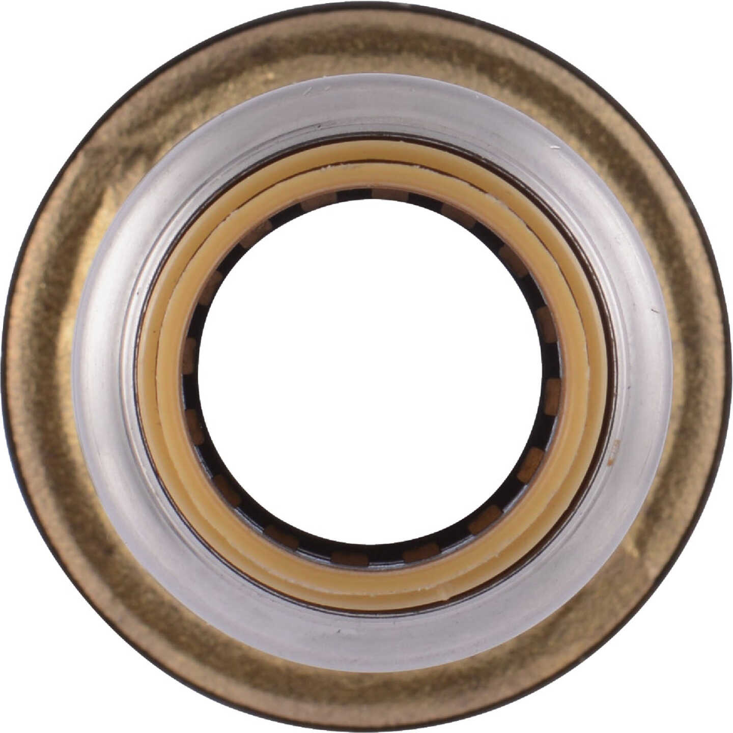 SharkBite 1/2 In. x 3/4 In. Push-to-Connect Brass Coupling Image 7