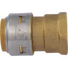 SharkBite 1 In. x 1 In. FNPT Straight Brass Push-to-Connect Female Adapter Image 3