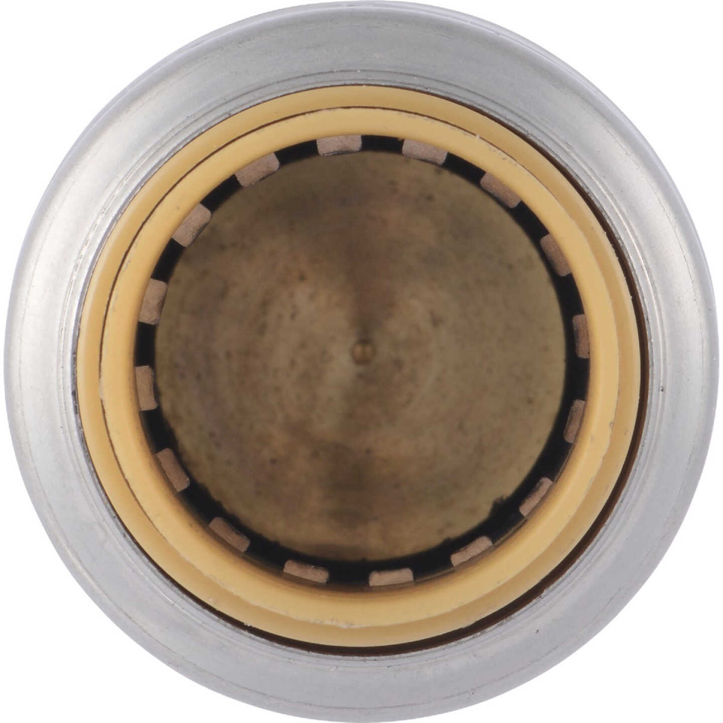 SharkBite 1/2 In. Push-to-Connect Brass End Push Cap Image 7