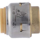 SharkBite 1/2 In. Push-to-Connect Brass End Push Cap Image 6