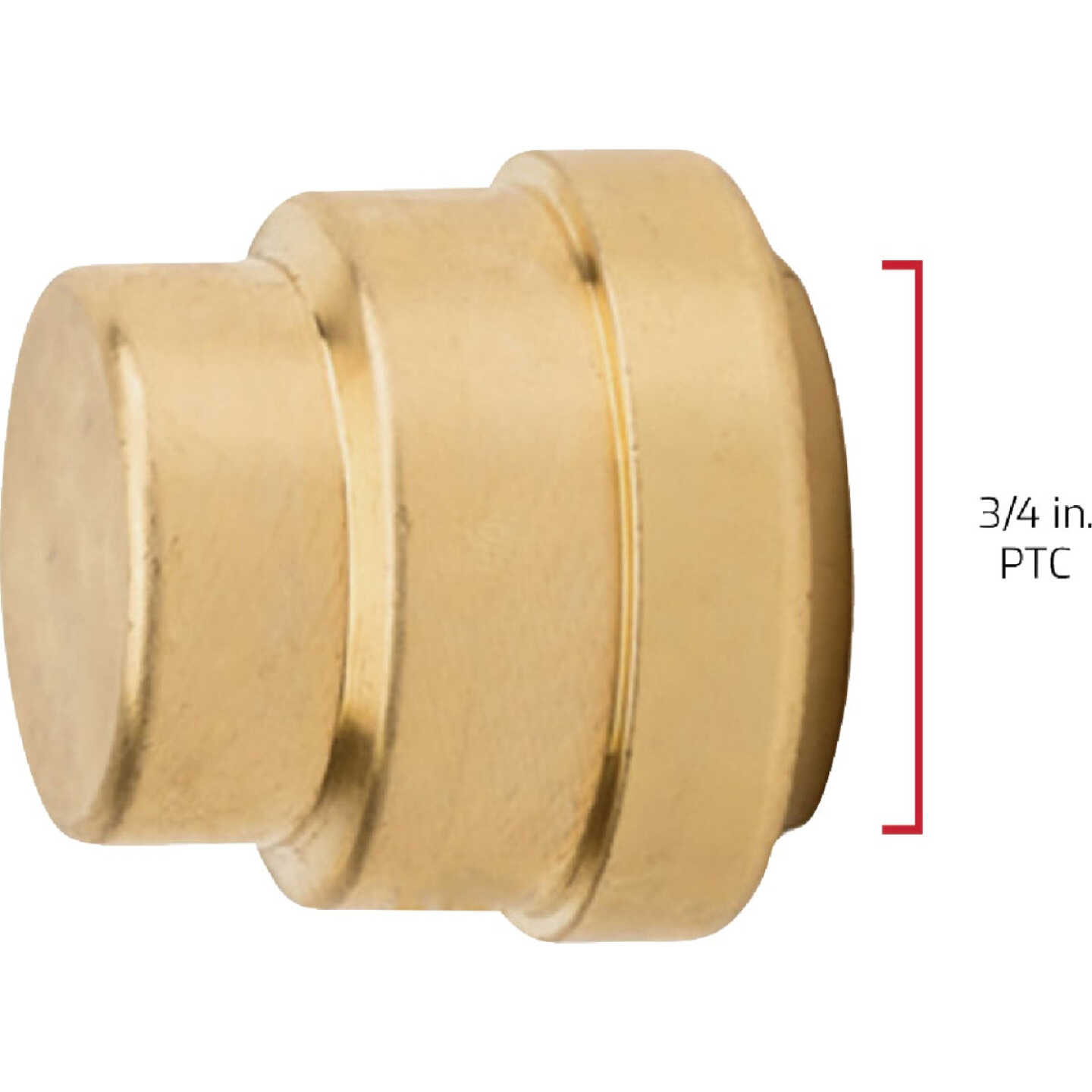 QuickFitting 3/4 In. Push-to-Connect Brass Push Cap (End Stop) Image 6