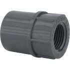 Charlotte Pipe 1/2 In. Schedule 80 Female PVC Adapter Image 1
