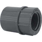 Charlotte Pipe 3/4 In. Schedule 80 Female PVC Adapter Image 1