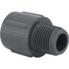 Charlotte Pipe 1/2 In. Schedule 80 Male PVC Adapter Image 1