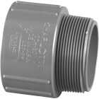 Charlotte Pipe 2 In. Schedule 80 Male PVC Adapter Image 1