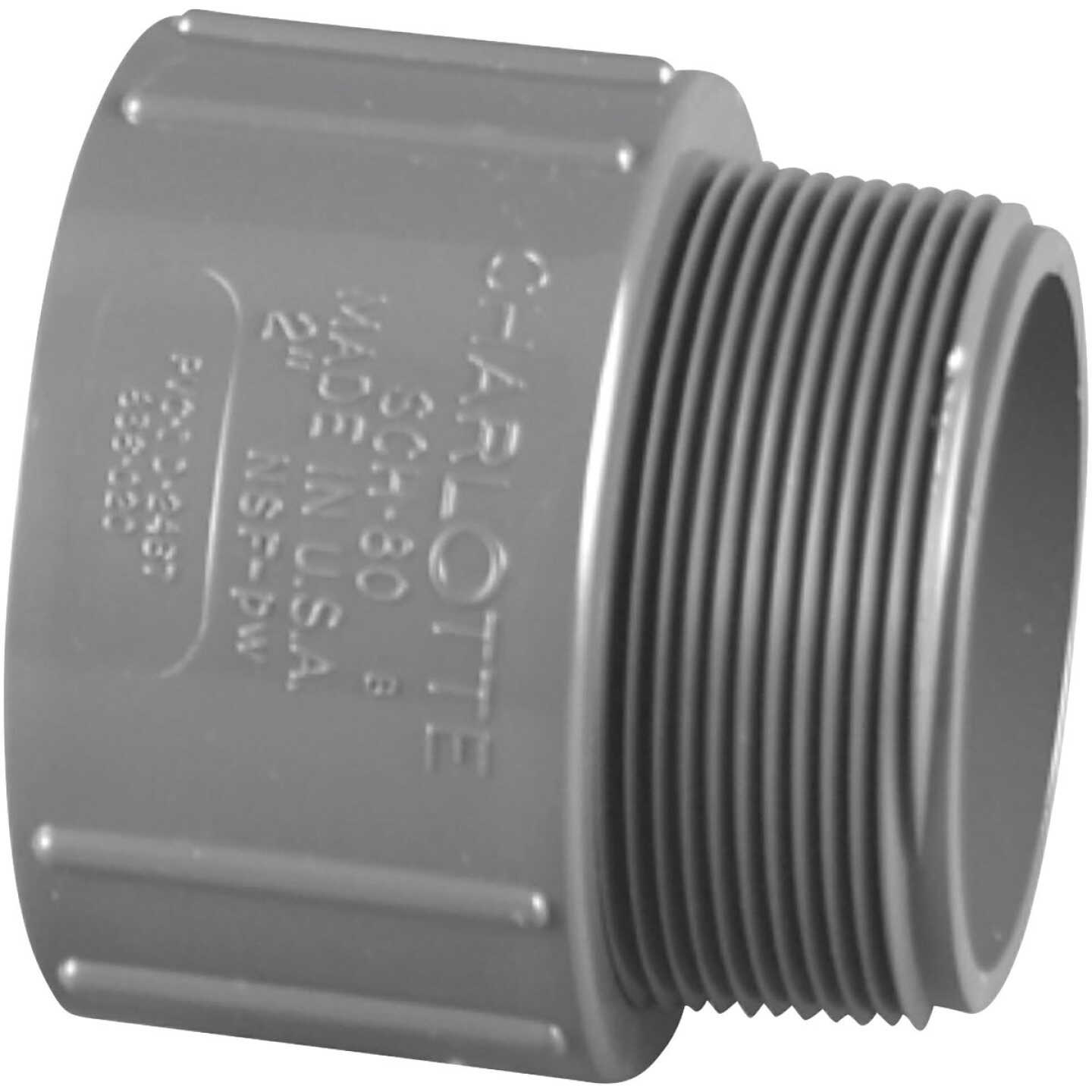 Charlotte Pipe 2 In. Schedule 80 Male PVC Adapter Image 1