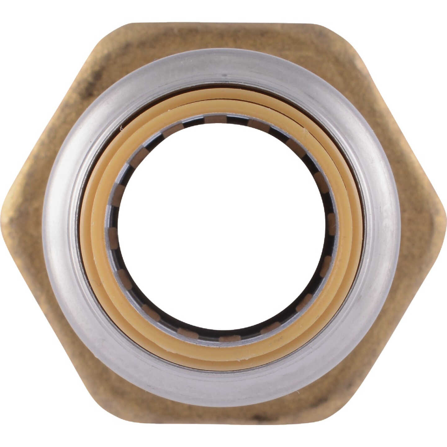 Sharkbite 1/2 In. x 3/4 In. Reducing Brass Push-to-Connect Male Adapter Image 5