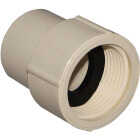 Charlotte Pipe 1 In. FIP CPVC Threaded PVC Adapter Image 1