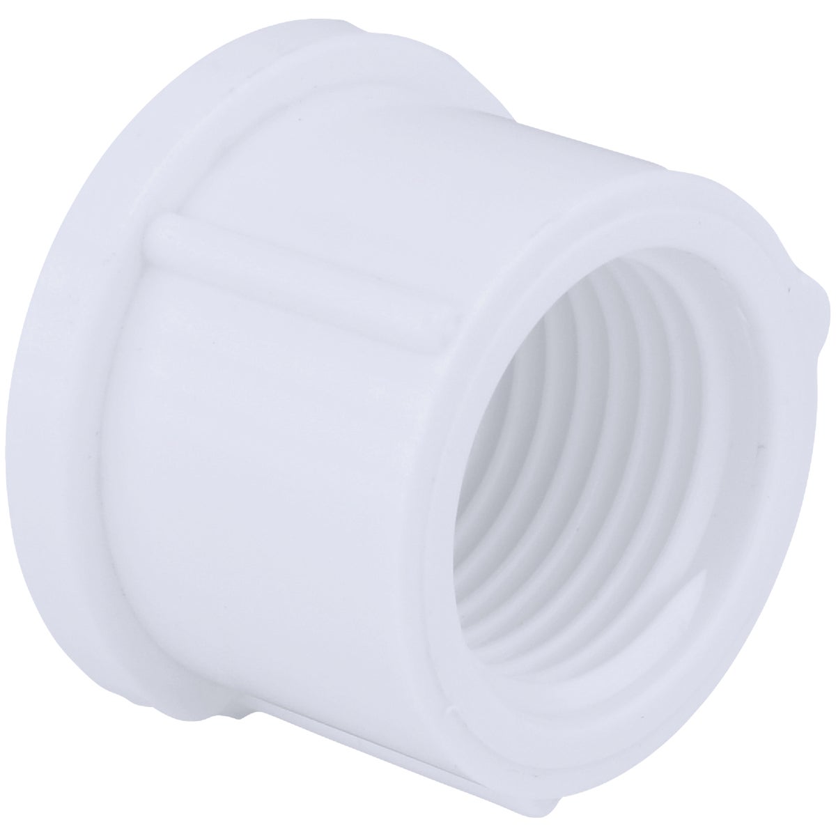 Charlotte Pipe 3 In. FIP Schedule 40 Threaded PVC Cap Image 1