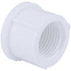 Charlotte Pipe 4 In. FIP Schedule 40 Threaded PVC Cap Image 1