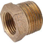 Anderson Metals 1/2 In. MPT x 1/8 In. FPT Red Brass Hex Reducing Bushing Image 1