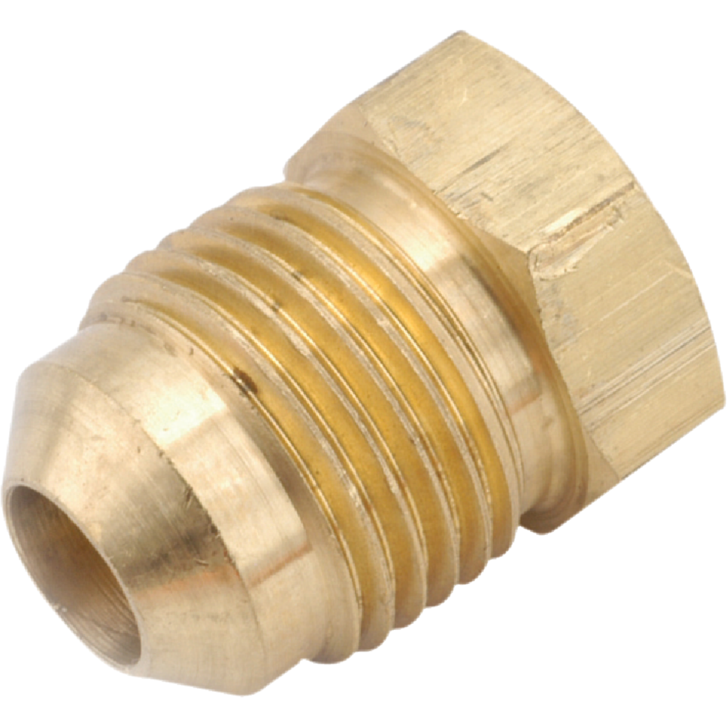 Anderson Metals 1/4 In. Brass Flare Plug Image 1