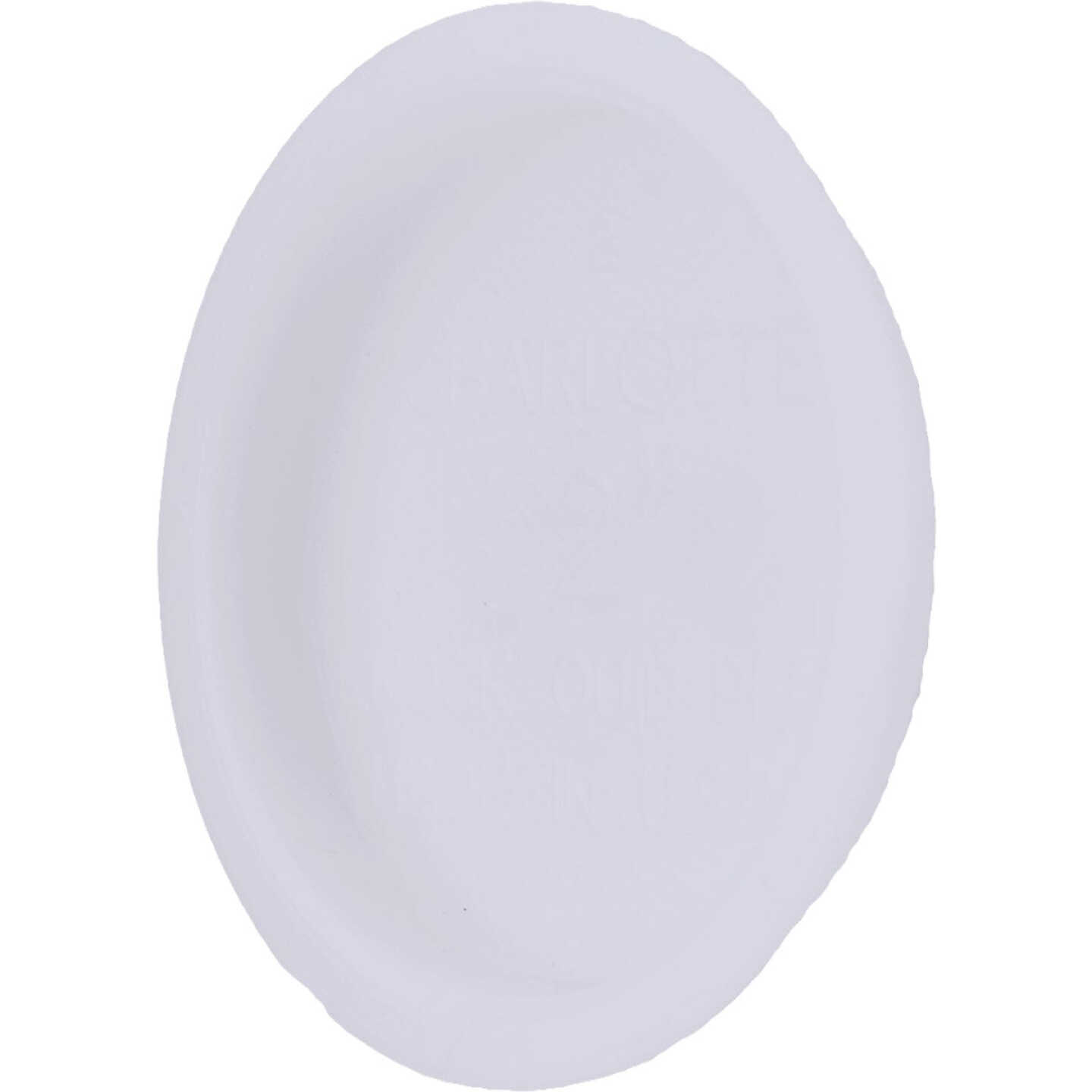 Charlotte Pipe 2 In. Schedule 40 DWV PVC White Test Cap Image 1