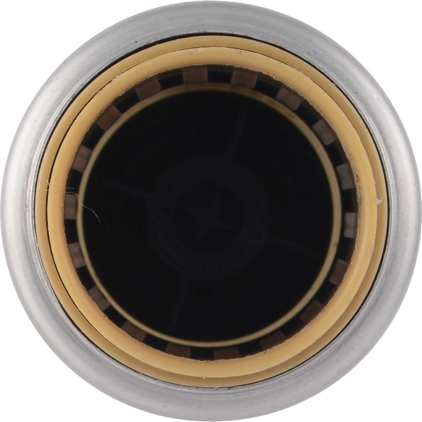 Sharkbite 3/4 In. Brass Push Check Valve Image 6