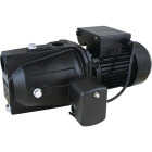 Star Water Systems 3/4 HP 115/230V Shallow Well Pump Image 1
