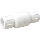 ProLine PVC 2 In. FIP x 2 In. FIP In-Line Check Valve Image 1
