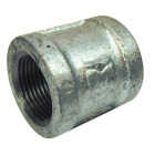 Southland 1/8 In. x 1/8 In. FPT Galvanized Coupling Image 1