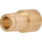 SharkBite PEX-A Brass 1/2 In. x 1/2 In. FSWT Sweat Adapter Image 1