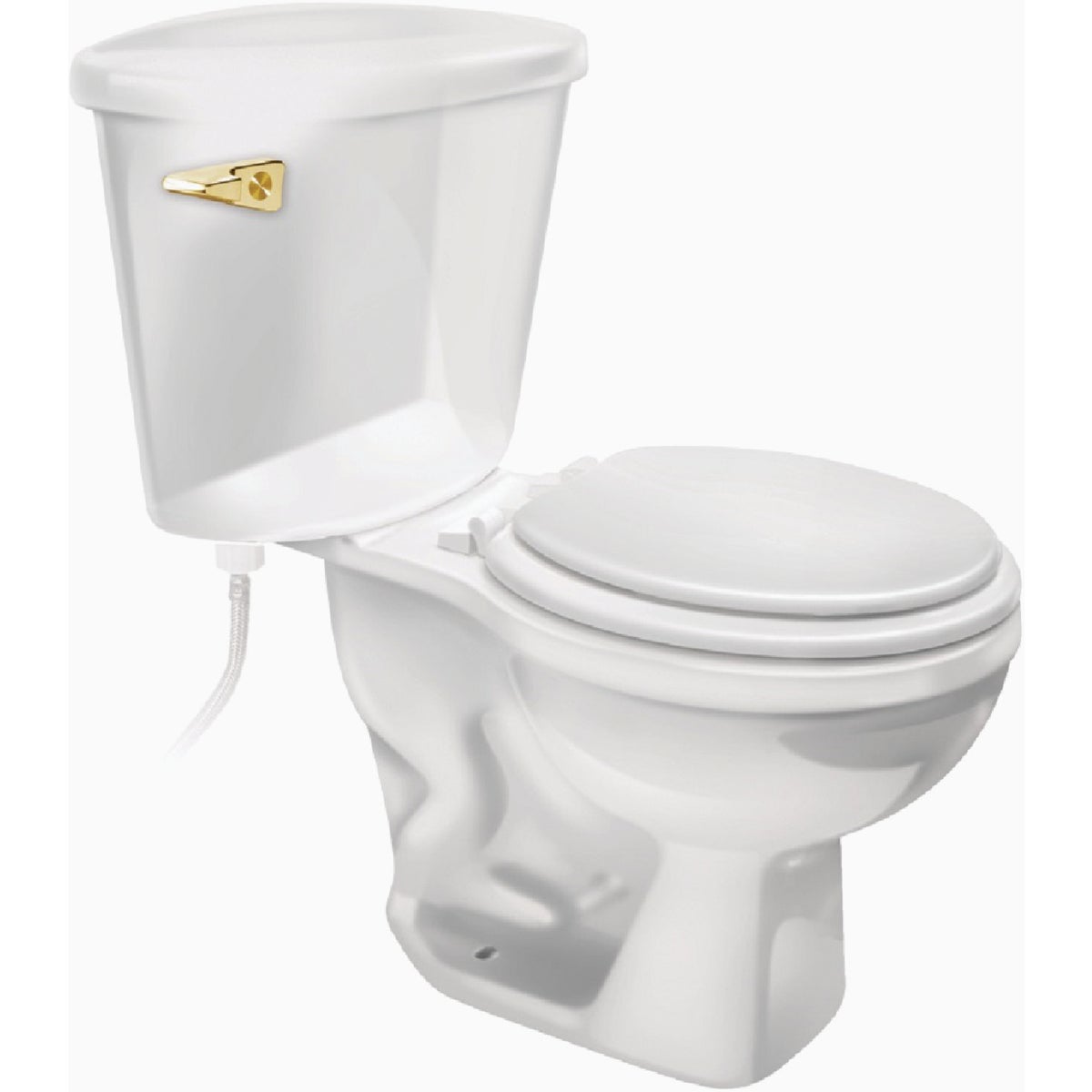 Fluidmaster Sure-Fit Basic Polished Brass Tank Lever with Plastic Arm Image 2