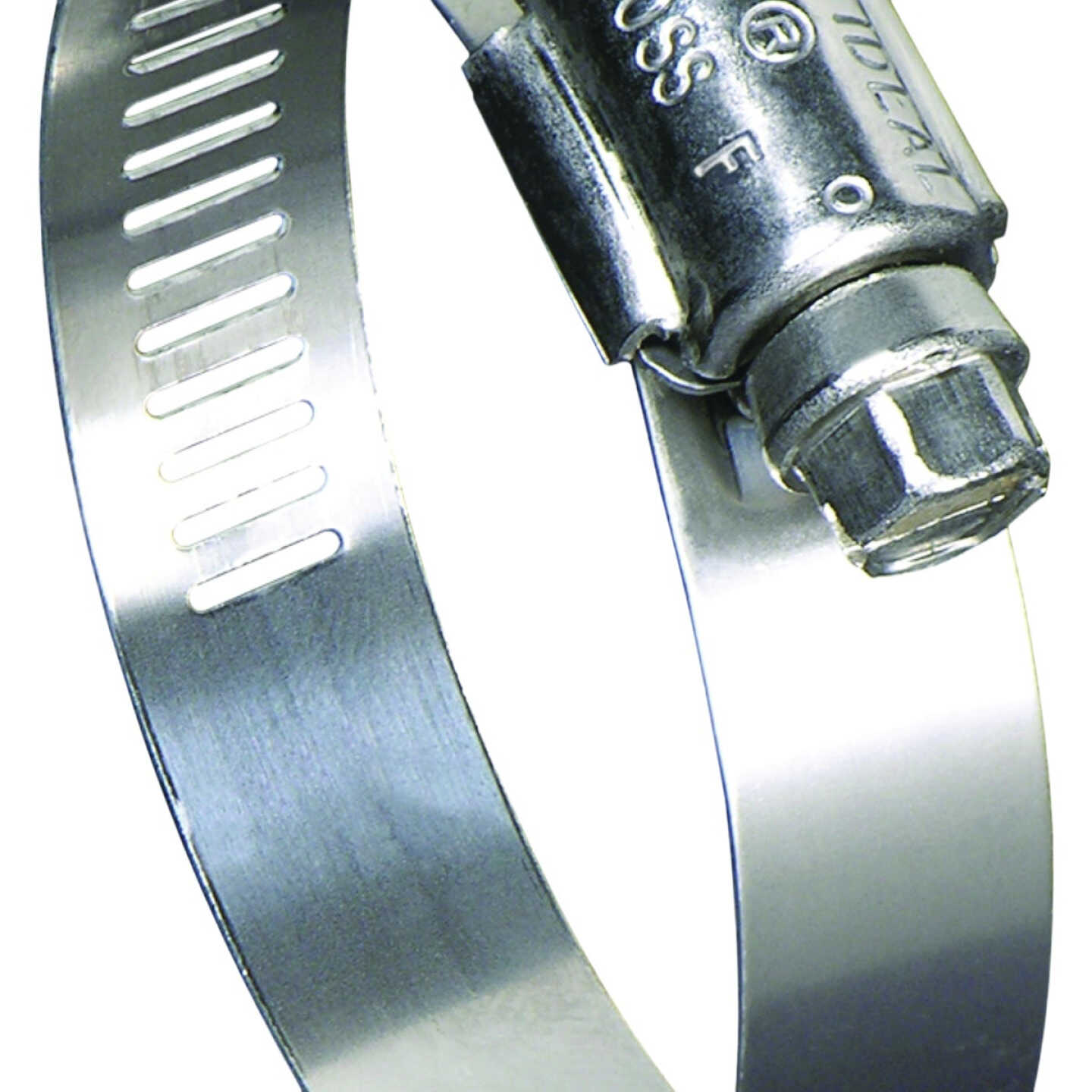 Ideal 1-1/4 In. x 3-1/4 In. Marine Grade Stainless Steel Hose Clamp (10-Pack) Image 1